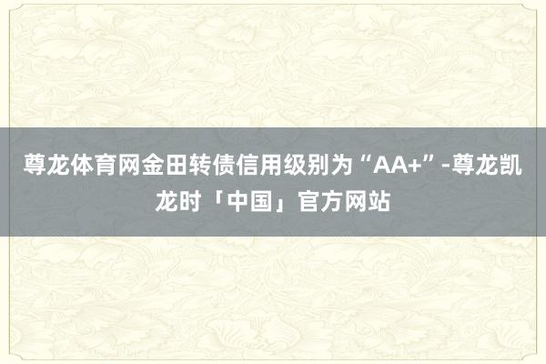 尊龙体育网金田转债信用级别为“AA+”-尊龙凯龙时「中国」官方网站