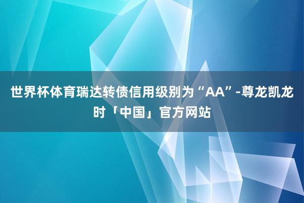 世界杯体育瑞达转债信用级别为“AA”-尊龙凯龙时「中国」官方网站