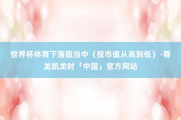 世界杯体育　　下落股当中（按市值从高到低）-尊龙凯龙时「中国」官方网站
