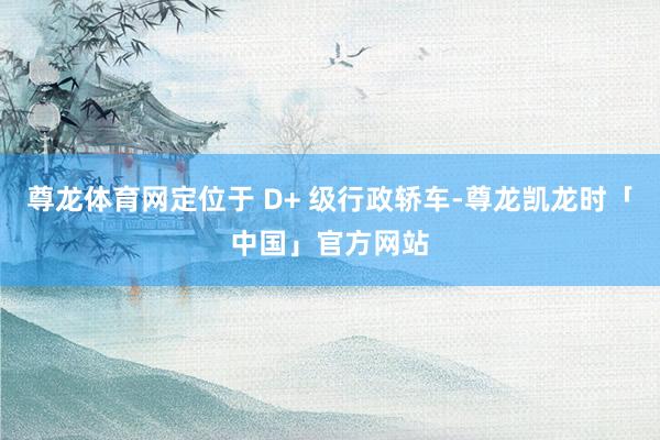 尊龙体育网定位于 D+ 级行政轿车-尊龙凯龙时「中国」官方网站