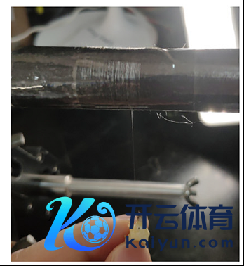 让蚕吐出超强蜘蛛丝&nbsp;图片起首：参考文件5