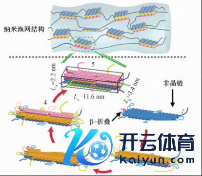  蜘蛛丝纤维的纳米渔网结构&nbsp; 图片起首：参考文件4