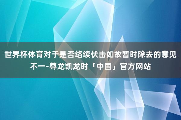 世界杯体育对于是否络续伏击如故暂时除去的意见不一-尊龙凯龙时「中国」官方网站