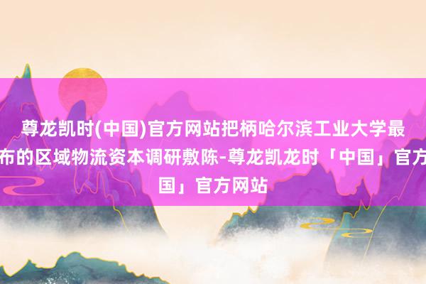 尊龙凯时(中国)官方网站把柄哈尔滨工业大学最新发布的区域物流资本调研敷陈-尊龙凯龙时「中国」官方网站
