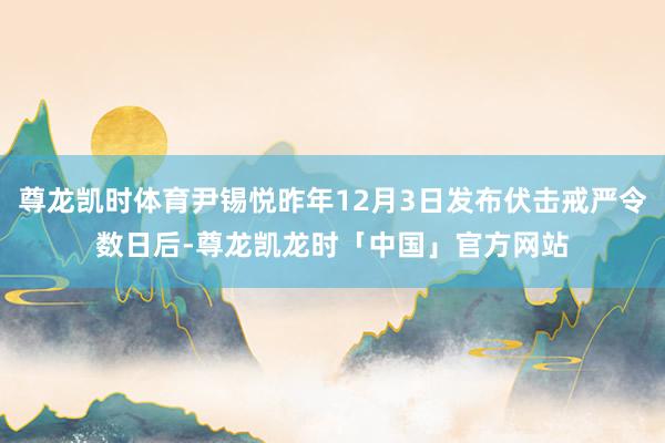 尊龙凯时体育尹锡悦昨年12月3日发布伏击戒严令数日后-尊龙凯龙时「中国」官方网站
