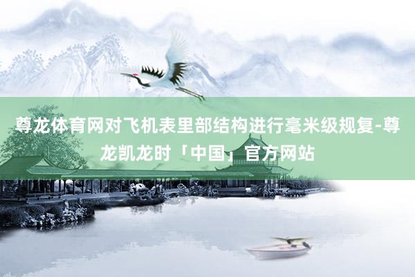 尊龙体育网对飞机表里部结构进行毫米级规复-尊龙凯龙时「中国」官方网站