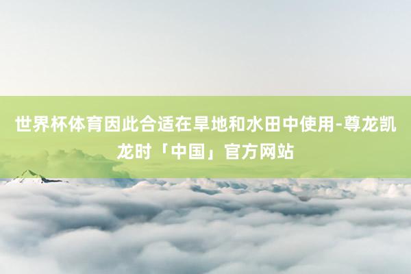 世界杯体育因此合适在旱地和水田中使用-尊龙凯龙时「中国」官方网站