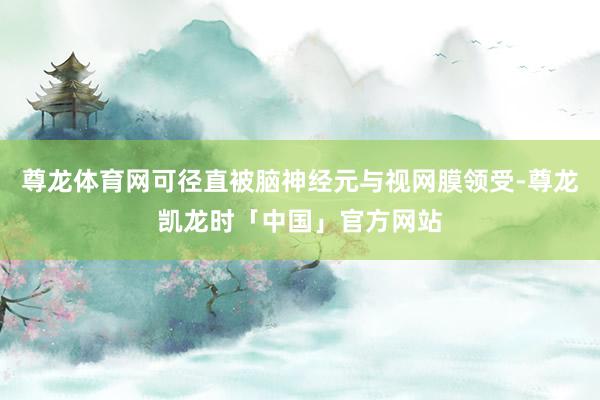 尊龙体育网可径直被脑神经元与视网膜领受-尊龙凯龙时「中国」官方网站