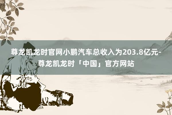 尊龙凯龙时官网小鹏汽车总收入为203.8亿元-尊龙凯龙时「中国」官方网站