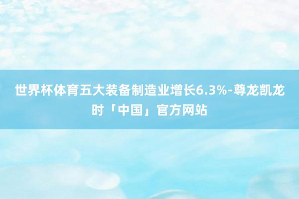 世界杯体育五大装备制造业增长6.3%-尊龙凯龙时「中国」官方网站