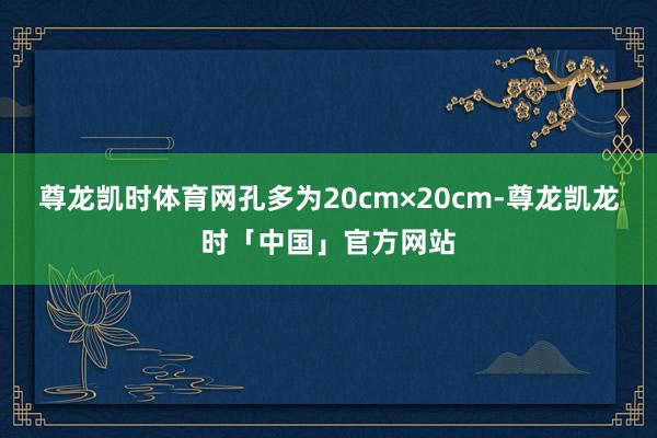 尊龙凯时体育网孔多为20cm×20cm-尊龙凯龙时「中国」官方网站